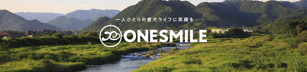 ONESMILEはこちら